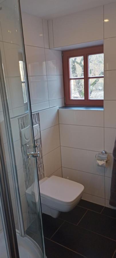 Winzerhaus Rissweg 15 Villa Drezda Kültér fotó