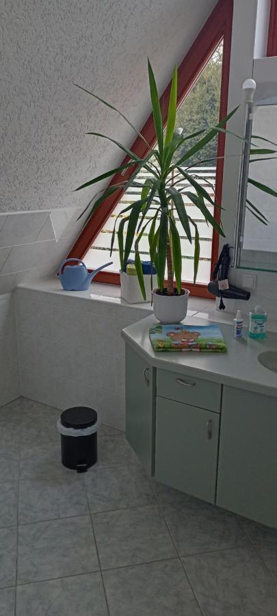 Winzerhaus Rissweg 15 Villa Drezda Kültér fotó