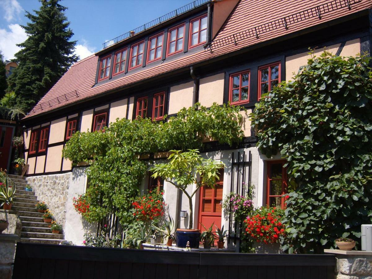 Winzerhaus Rissweg 15 Villa Drezda Kültér fotó